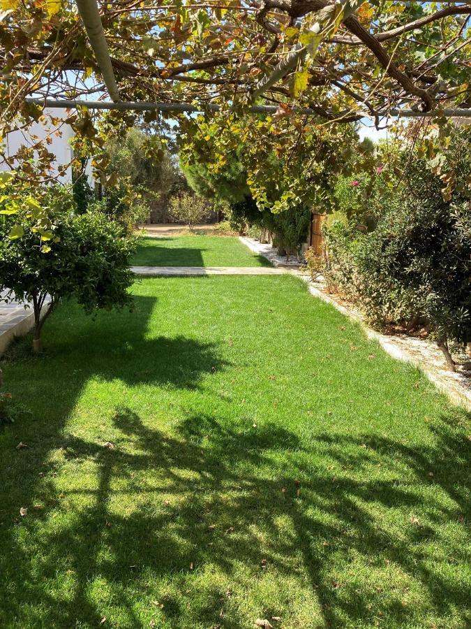 Ninemia Naxos Suites Agios Thaleleos Exterior photo