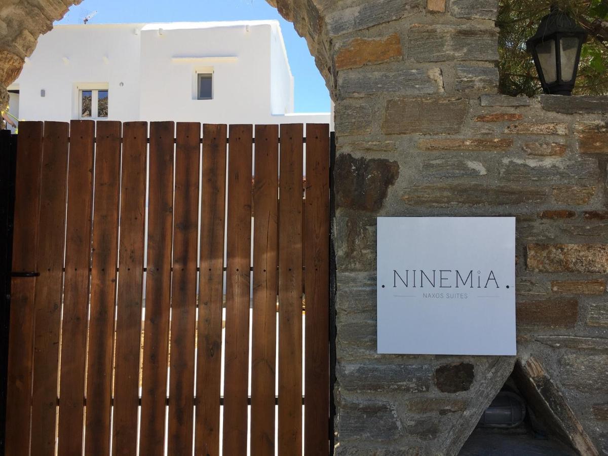 Ninemia Naxos Suites Agios Thaleleos Exterior photo